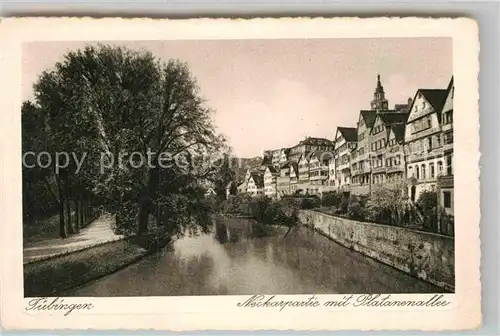 AK / Ansichtskarte Tuebingen Neckarpartie Platanenallee Kat. Tuebingen