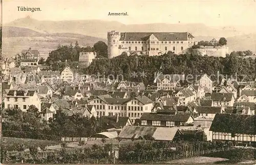 AK / Ansichtskarte Tuebingen Ammertal Schloss Kat. Tuebingen