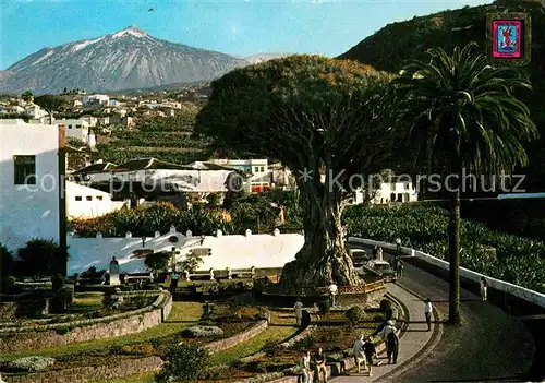 AK / Ansichtskarte Santa Cruz de Tenerife Icod de Los Vinos Drago Milenario Kat. Santa Cruz de Tenerife