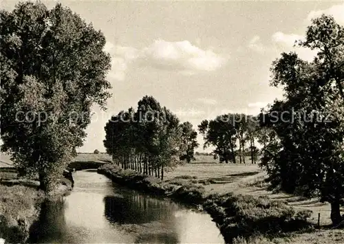 AK / Ansichtskarte Nienburg Weser Partie am Bach Kat. Nienburg (Weser)