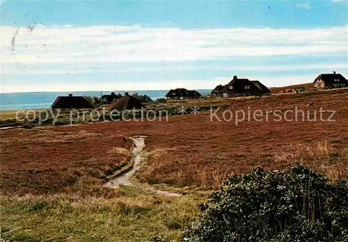 AK / Ansichtskarte Sylt Ferienhaeuser in der Kampener Heide Kat. Sylt Ost