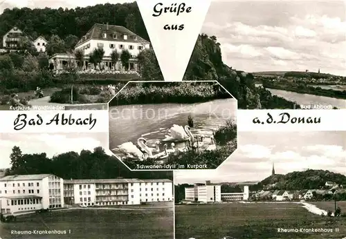 AK / Ansichtskarte Bad Abbach Kurhaus Waldfrieden Rheuma Krankenhaus Schwan Kat. Bad Abbach