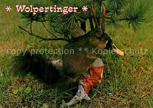 AK / Ansichtskarte Tiere Wolpertinger  Kat. Tiere