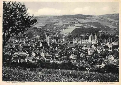 AK / Ansichtskarte Mergentheim Bad Schloss Panorama Kat. Bad Mergentheim