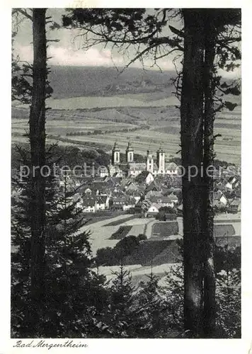 AK / Ansichtskarte Mergentheim Bad Panorama Kat. Bad Mergentheim