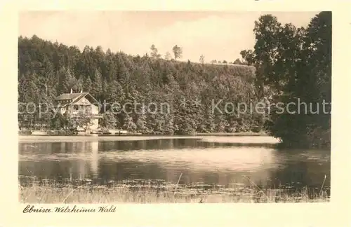 AK / Ansichtskarte Ebnisee im Welzheimer Wald