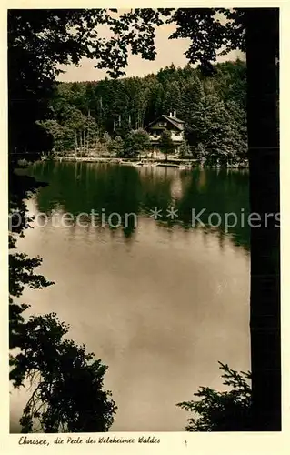 AK / Ansichtskarte Ebnisee im Welzheimer Wald