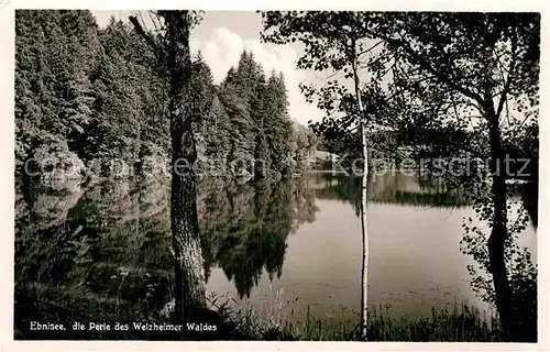 AK / Ansichtskarte Ebnisee im Welzheimer Wald