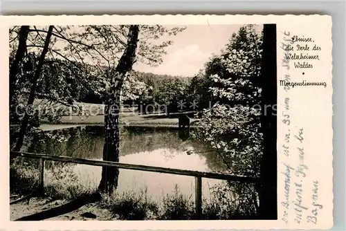 AK / Ansichtskarte Ebnisee im Welzheimer Wald