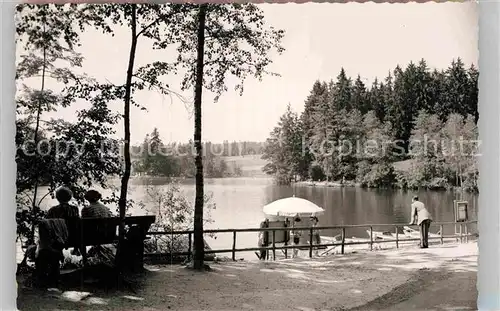 AK / Ansichtskarte Ebnisee Seeblick