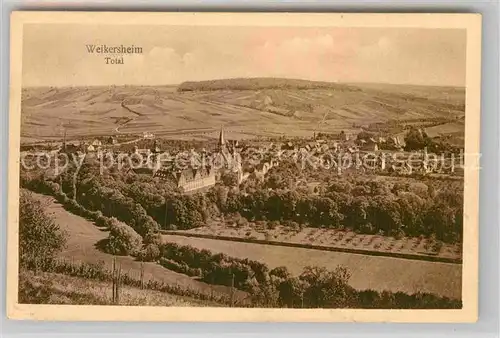 AK / Ansichtskarte Weikersheim Panorama Kat. Weikersheim