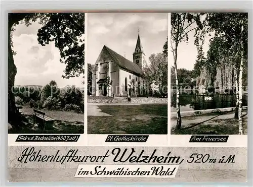 AK / Ansichtskarte Welzheim Blick von der Bockseiche St Galluskirche Am Feuersee Kat. Welzheim