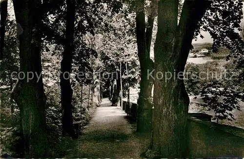 AK / Ansichtskarte Bad Mergentheim Platanenallee im Schlosspark Kat. Bad Mergentheim