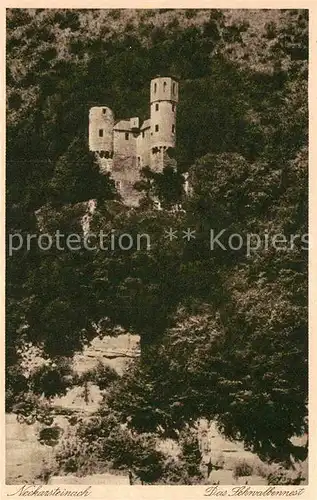 AK / Ansichtskarte Neckarsteinach Burg Schwalbennest Kat. Neckarsteinach