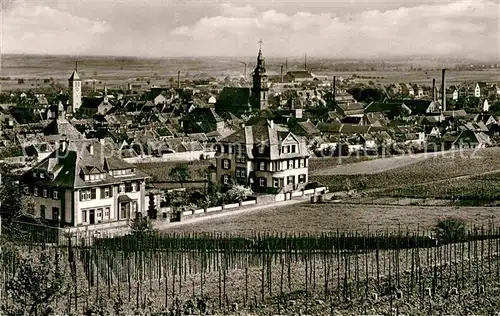 AK / Ansichtskarte Gruenstadt Panorama Kat. Gruenstadt