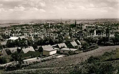 AK / Ansichtskarte Gruenstadt Panorama Kat. Gruenstadt