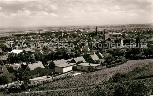 AK / Ansichtskarte Gruenstadt Panorama Kat. Gruenstadt