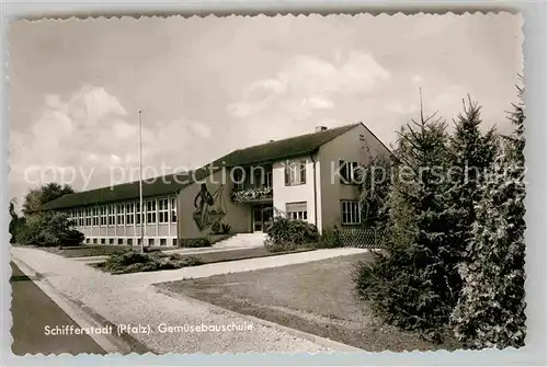 AK / Ansichtskarte Schifferstadt Gemuesebauschule Kat. Schifferstadt