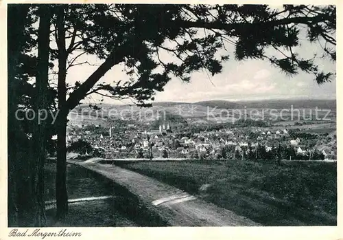 AK / Ansichtskarte Bad Mergentheim Panorama  Kat. Bad Mergentheim