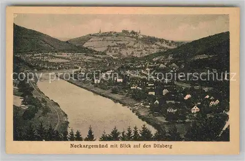 AK / Ansichtskarte Neckargemuend Panorama Dilsberg Kat. Neckargemuend