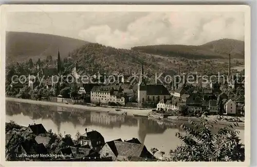 AK / Ansichtskarte Neckargemuend Panorama Kat. Neckargemuend