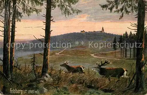 AK / Ansichtskarte Verlag Wiedemann WIRO Nr. 2071 B Feldberg Taunus Hirsch  Kat. Verlage