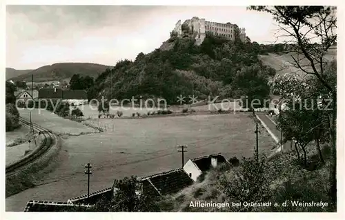 AK / Ansichtskarte Altleiningen Schloss Kat. Altleiningen