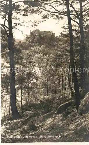 AK / Ansichtskarte Gruenstadt Burg Altleiningen Kat. Gruenstadt