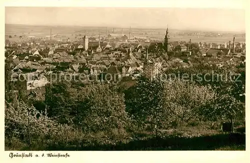 AK / Ansichtskarte Gruenstadt Panorama Kat. Gruenstadt