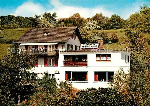 AK / Ansichtskarte Grein Heidelberg Neckar Restaurant Berghof Kat. Heidelberg