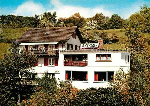 AK / Ansichtskarte Grein Heidelberg Neckar Restaurant Berghof Kat. Heidelberg