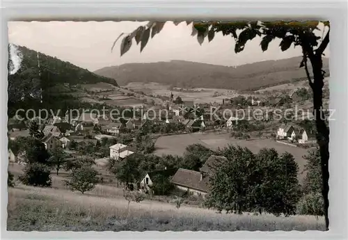 AK / Ansichtskarte Heiligkreuzsteinach Panorama Cafe Gaststaette Deutscher Reichsadler Kat. Heiligkreuzsteinach