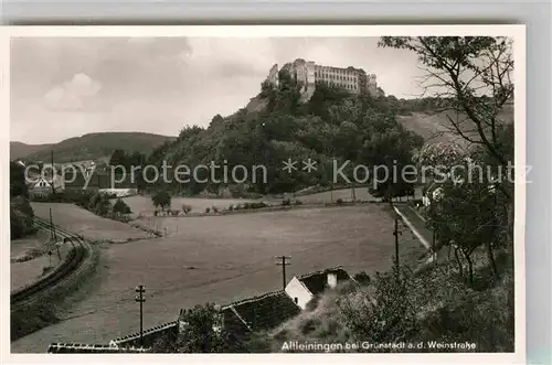 AK / Ansichtskarte Altleiningen Schlossruine Kat. Altleiningen