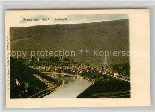 AK / Ansichtskarte Neckarsteinach Panorama Kat. Neckarsteinach