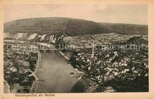 AK / Ansichtskarte Neckargemuend Panorama Kat. Neckargemuend