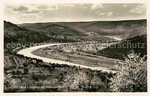 AK / Ansichtskarte Neckargemuend Blick vom Dilsberg Kat. Neckargemuend