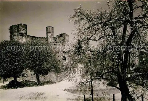 AK / Ansichtskarte Dilsberg Neckar Burgruine