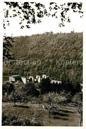 AK / Ansichtskarte Dilsberg Neckar Teilansicht