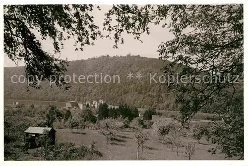 AK / Ansichtskarte Dilsberg Neckar Stauwehr Panorama