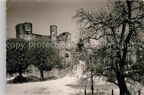 AK / Ansichtskarte Dilsberg Neckar Burgruine