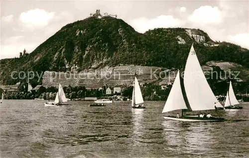 AK / Ansichtskarte Koenigswinter Segelregatta am Drachenfels Kat. Koenigswinter