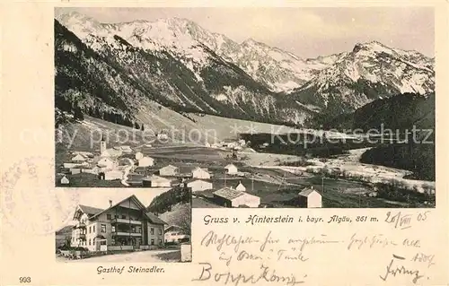 AK / Ansichtskarte Hinterstein Bad Hindelang Gasthof Steinadler Panorama