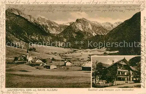 AK / Ansichtskarte Hinterstein Bad Hindelang Gasthof Pension zum Steinadler Panorama