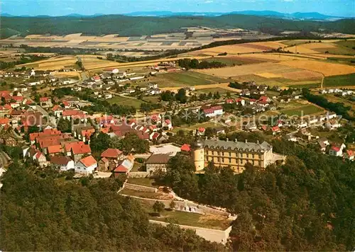 AK / Ansichtskarte Bad Wildungen Schloss Friedrichstein Fliegeraufnahme Kat. Bad Wildungen