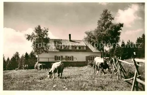 AK / Ansichtskarte Schwenningen Neckar Naturfreundehaus Hirzwald Kat. Villingen Schwenningen