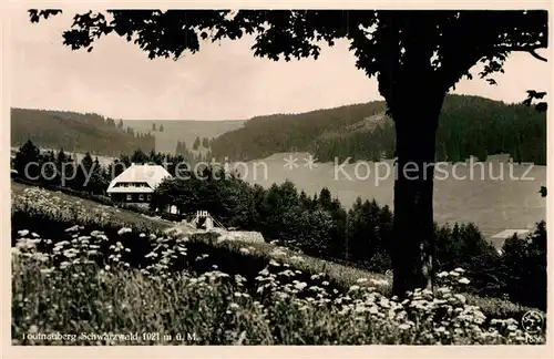 AK / Ansichtskarte Todtnauberg Bergwiesen Alter Bauernhof Schwarzwald Kat. Todtnau