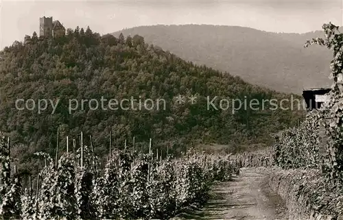 AK / Ansichtskarte Alf Mosel Burg Arras Kat. Alf