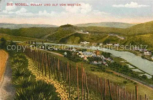 AK / Ansichtskarte Bullay Mosel Moselpanorama Kat. Bullay