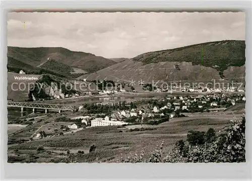 AK / Ansichtskarte Alf Mosel Panorama  Kat. Alf