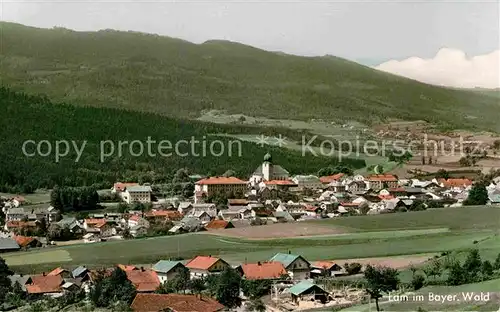 AK / Ansichtskarte Lam Oberpfalz Panorama Kat. Lam